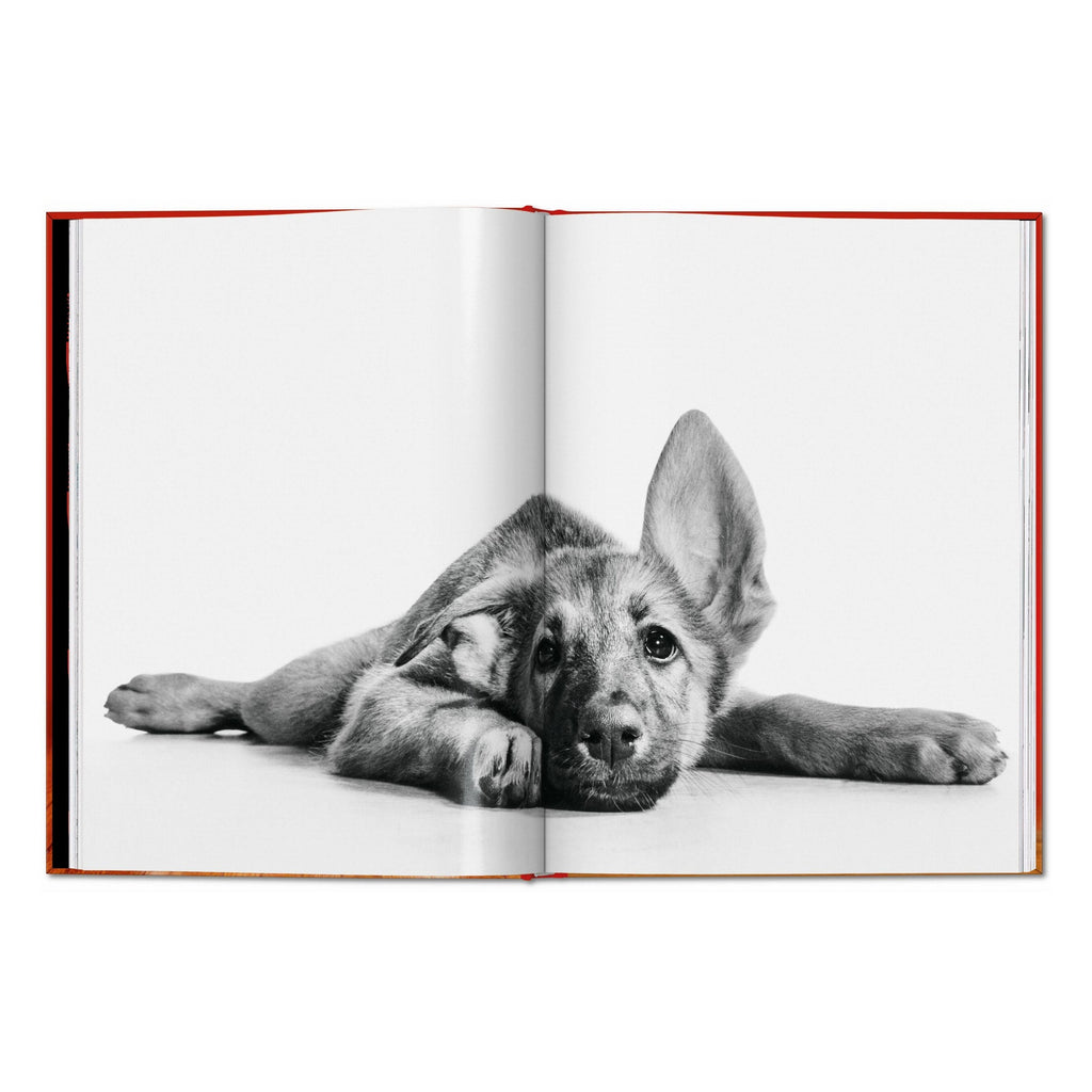 Walter Chandoha. Dogs. Photographs 1941–1991 (English)