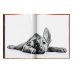 Walter Chandoha. Dogs. Photographs 1941–1991 (English)