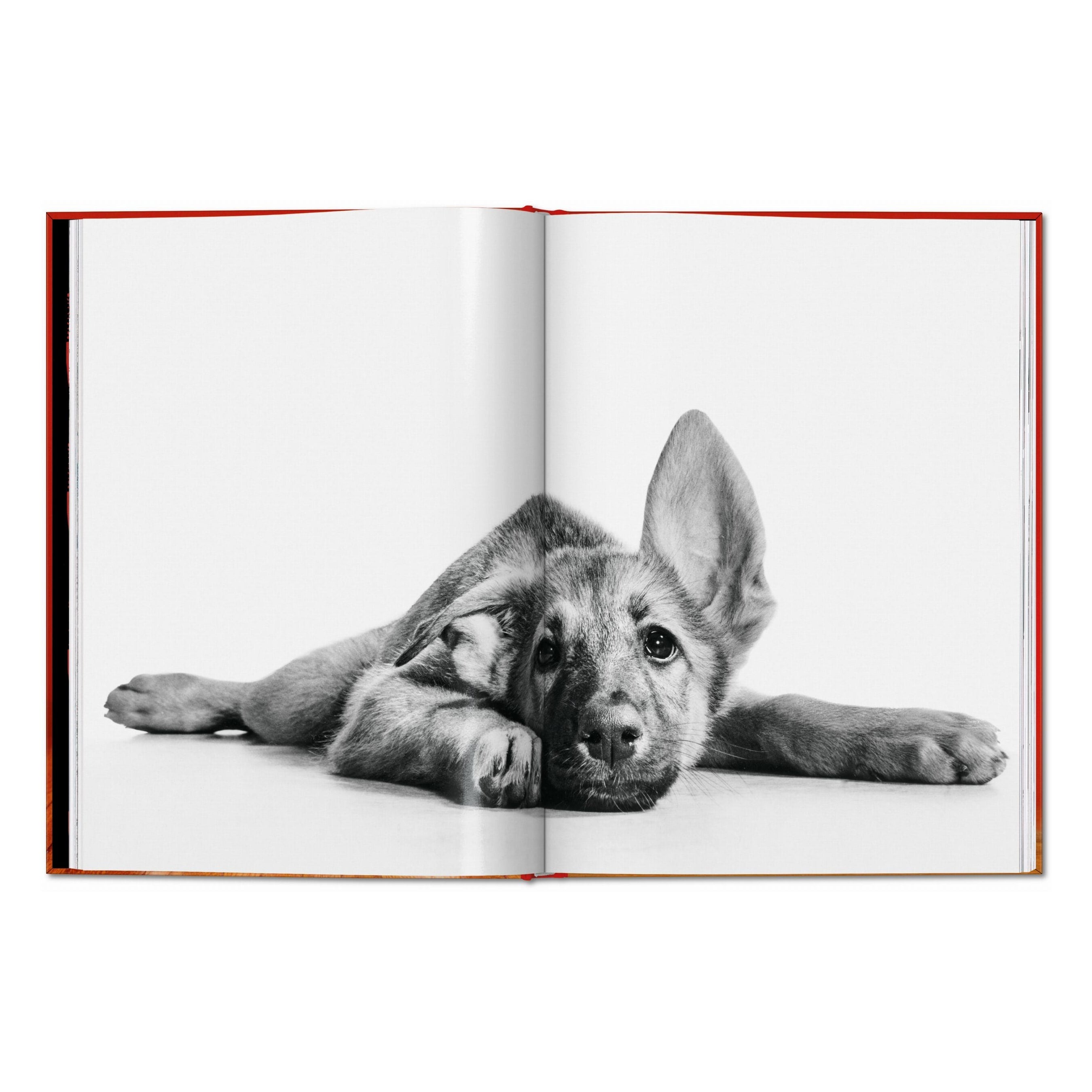 Walter Chandoha. Dogs. Photographs 1941–1991 (English)