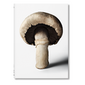 The Gourmand's Mushroom. A Collection of Stories and Recipes (English)
