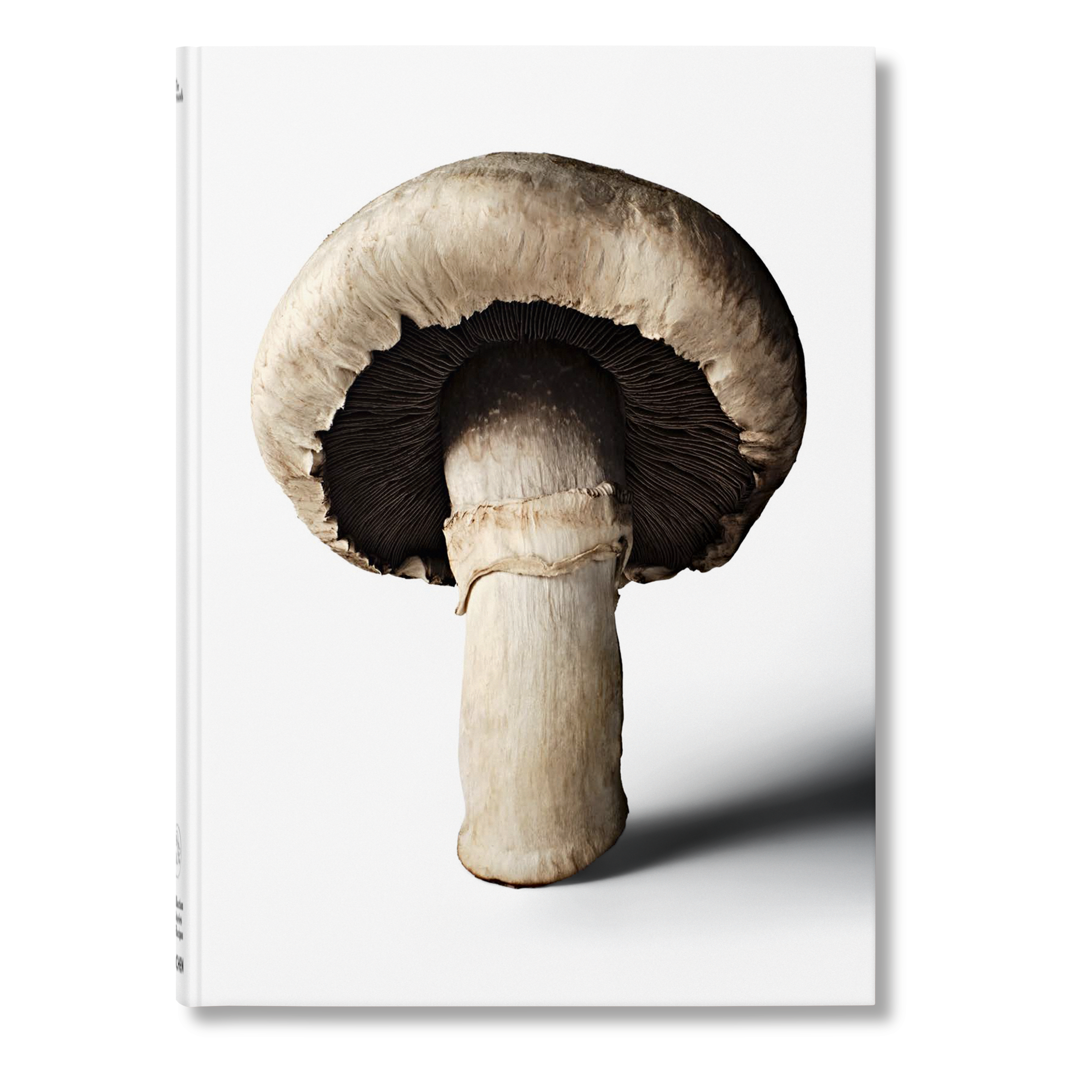 The Gourmand's Mushroom. A Collection of Stories and Recipes (English)