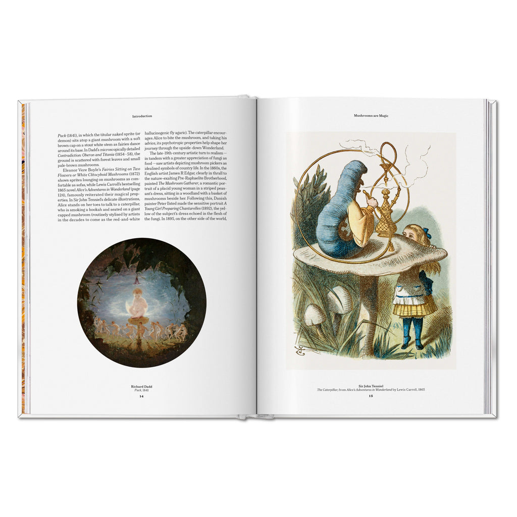 The Gourmand's Mushroom. A Collection of Stories and Recipes (English)