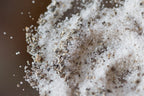 Black Truffle 10% Truffle Salt - 3.5OZ