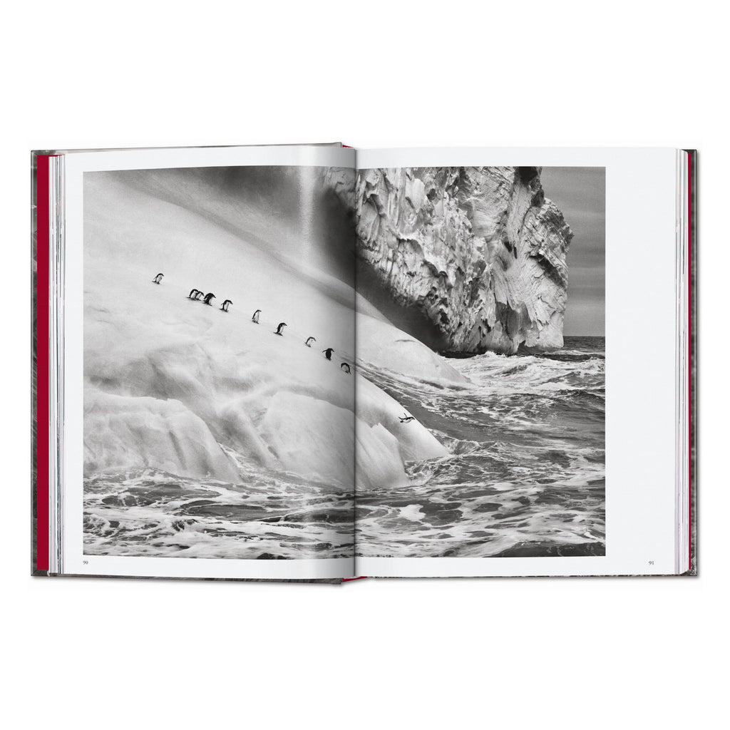 Sebastião Salgado. Genesis. 45th Ed. (English)