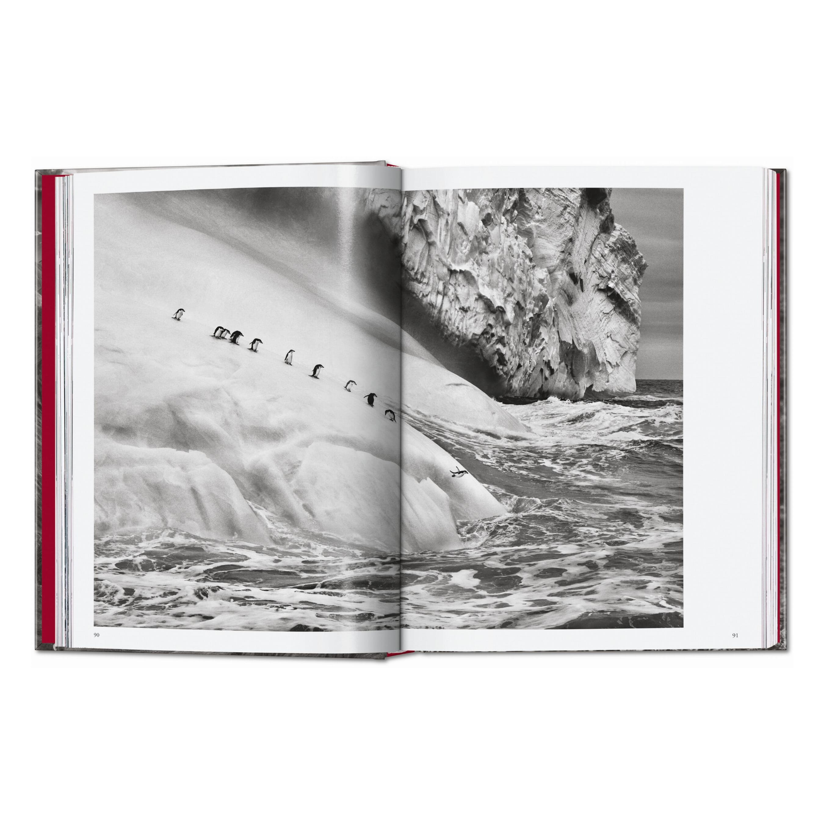 Sebastião Salgado. Genesis. 45th Ed. (English)