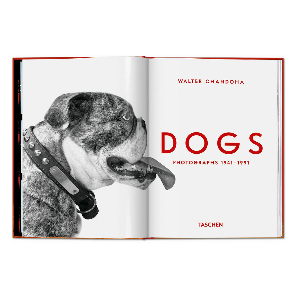 Walter Chandoha. Dogs. Photographs 1941–1991 (English)