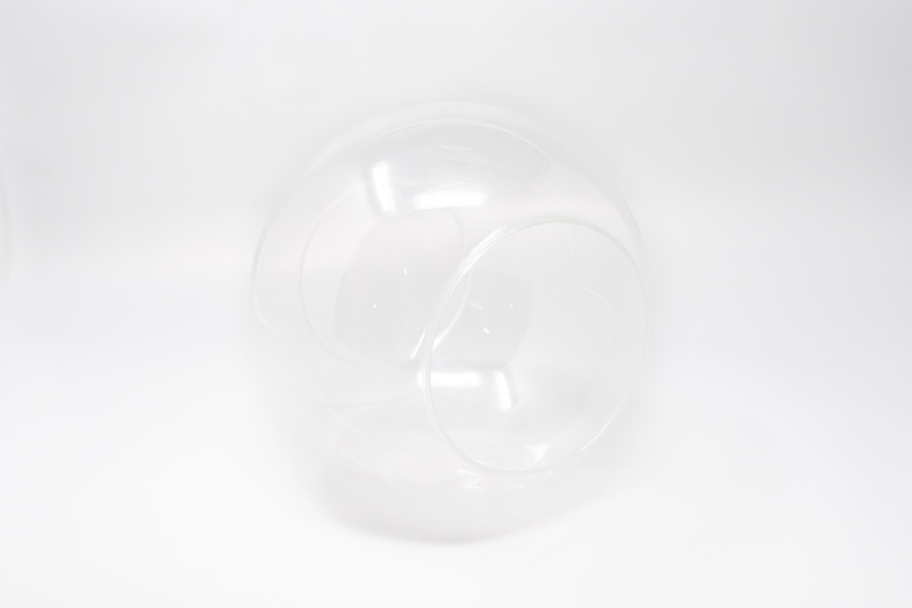 Large Hand-Blown Glass Terrarium with 2 Open Ends