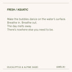 Amélie –  Eucalyptus & Alpine Sage Candle