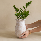 Sable Scalloped Crock, Terracotta Pot, Hand-Painted in Aged White or Earthly Brown, 6.2"D x 9.4"H