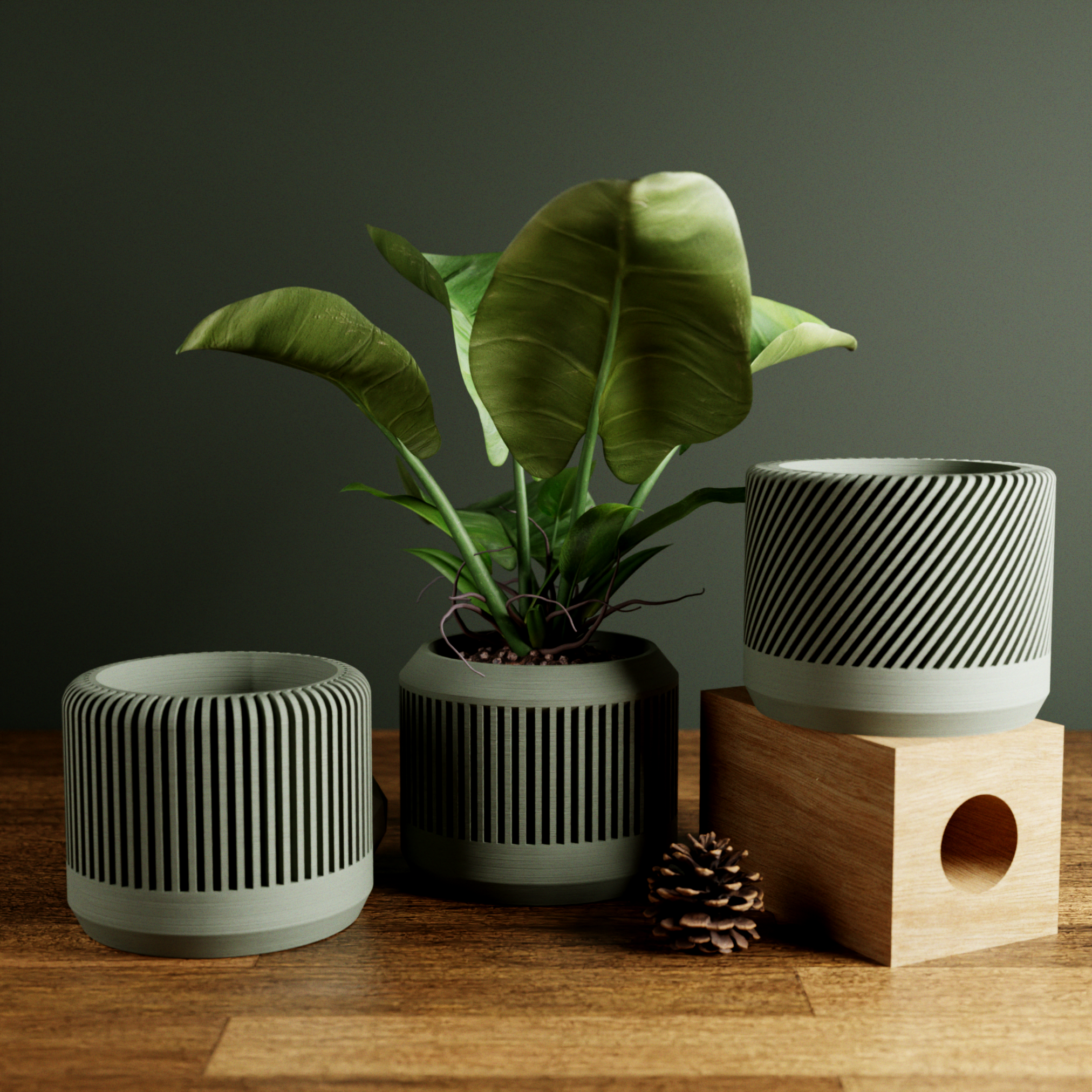Bamboo Planter Set from Modernized Pottery