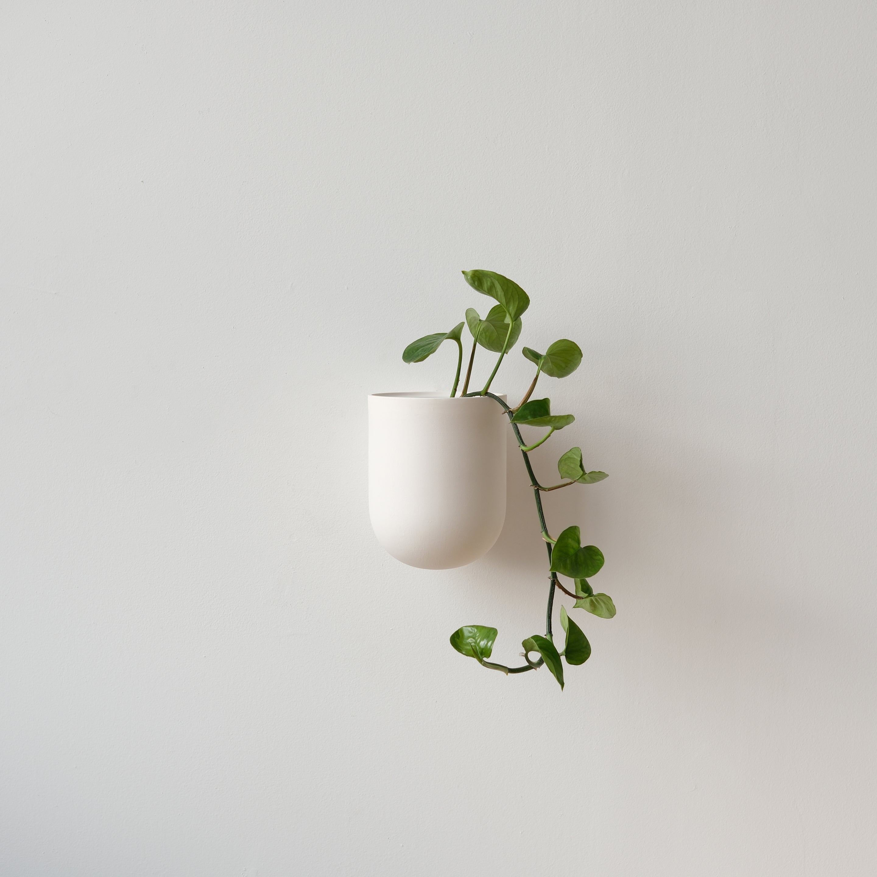 handmade ceramic wall planter by Misewell