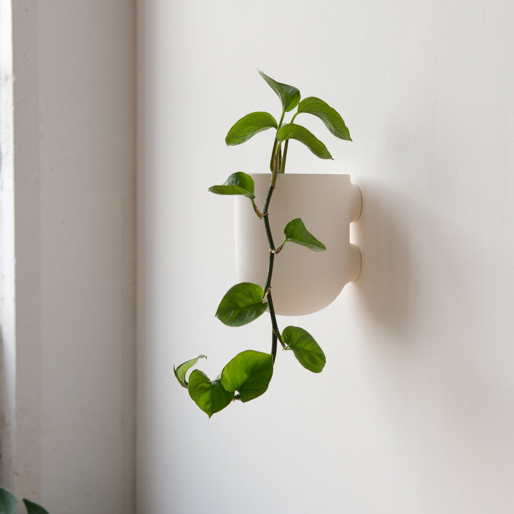 Bender wall planter in black glaze