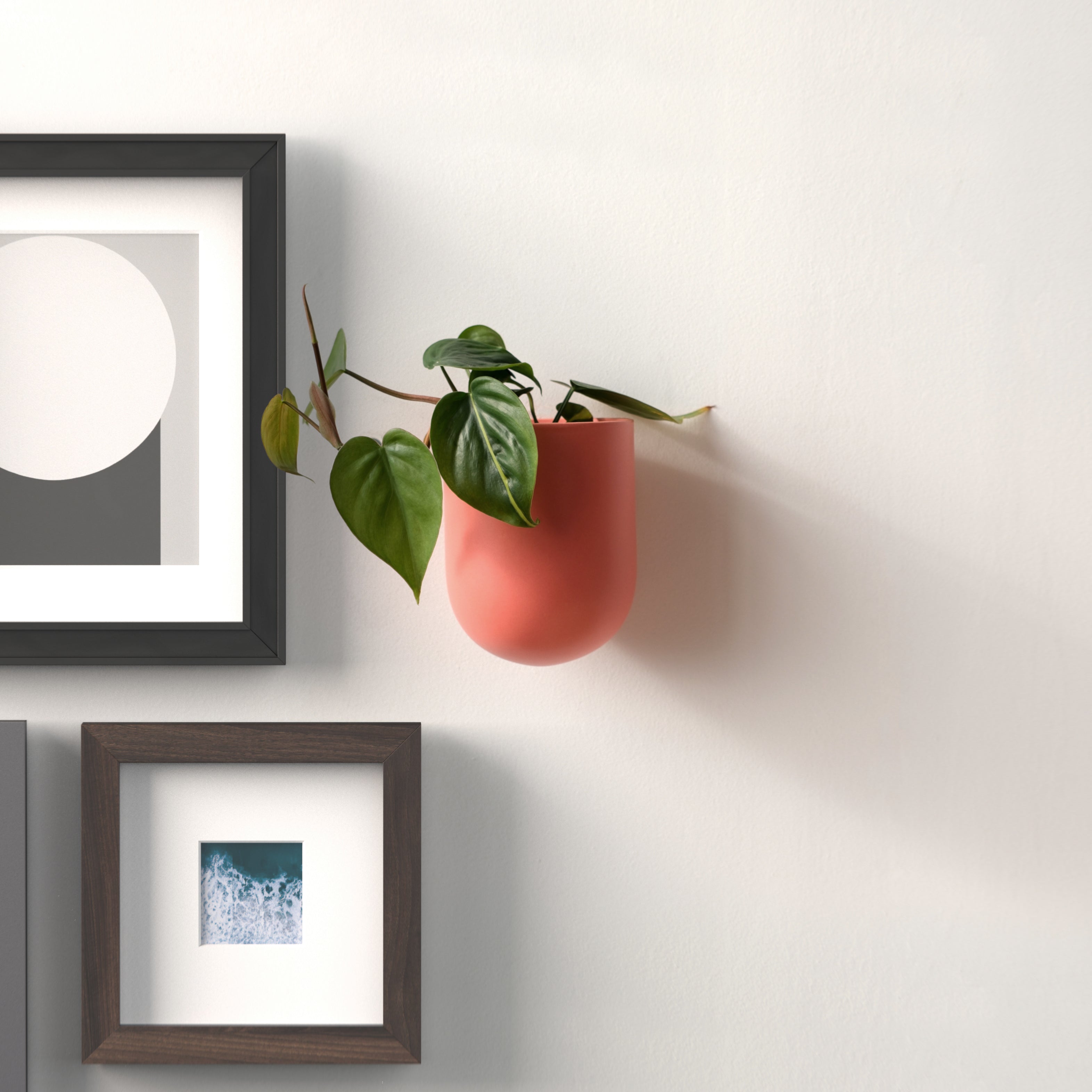 handmade ceramic wall planter by Misewell