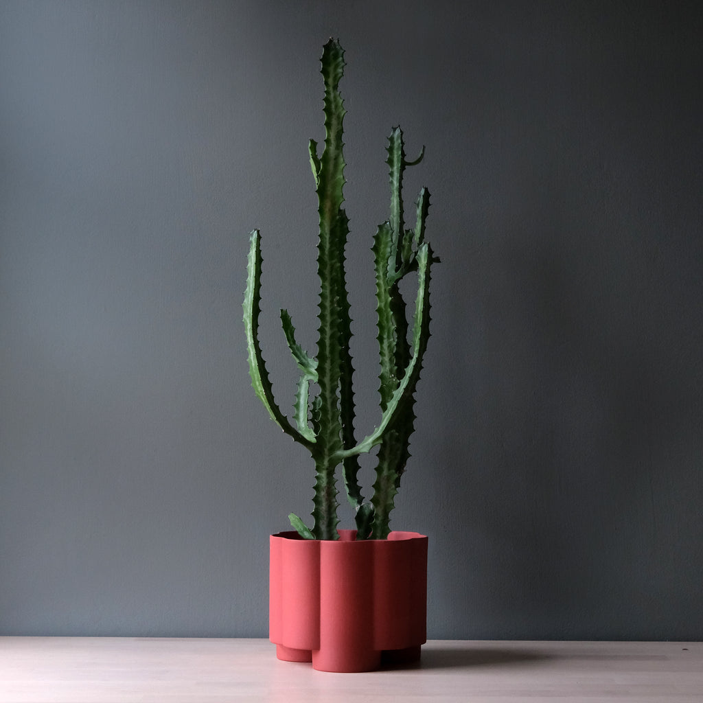 fluted ceramic planter by Misewell