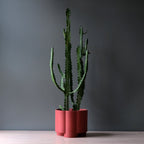 fluted ceramic planter by Misewell