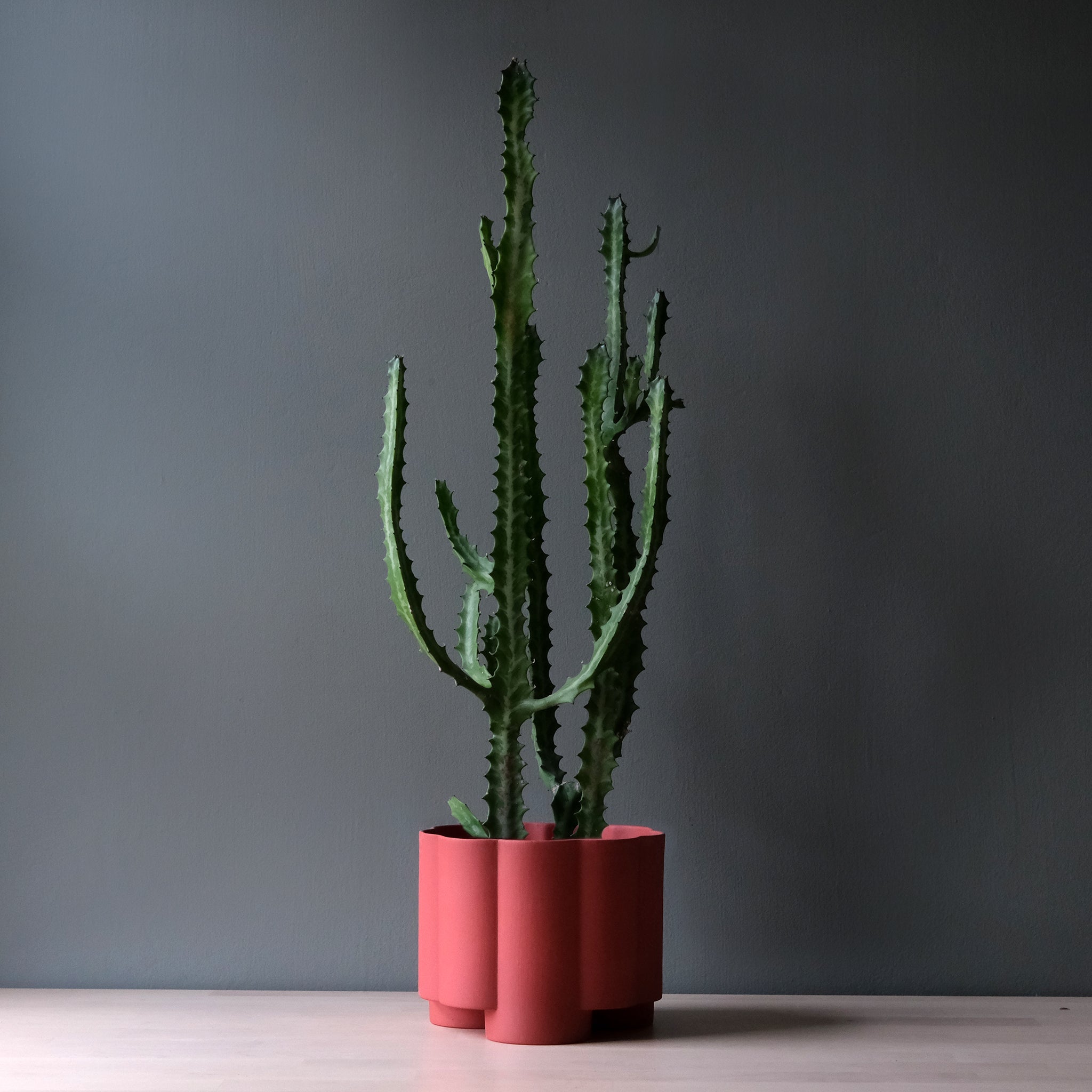 fluted ceramic planter by Misewell