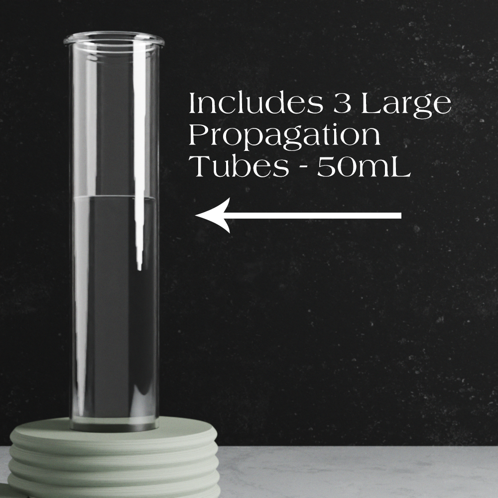 Triple Bubble Propagation Station from Modernized Pottery