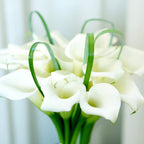 Calla - Bridal Bliss