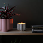 soy wax candle in ceramic planter by Misewell
