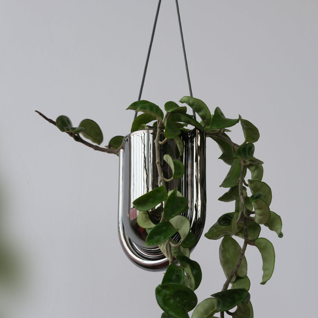 chrome hanging planter in a modern bathroom