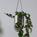chrome hanging planter in a modern bathroom