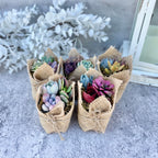 Fairy Favors - Succulent Mini Garden Favors in Burlap - Succulent Favors for Baby Showers, Weddings, Birthday