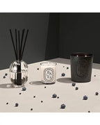 DIPTYQUE Baies (Berries) Scented Candle