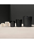 DIPTYQUE Baies (Berries) Scented Candle