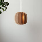 Fin II Pendant plywood fin construction detail
