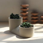 handmade double ceramic plant pot by Misewell
