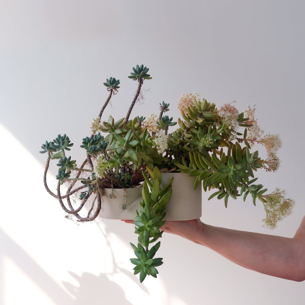 Double Planter two-chamber ceramic vessel detail