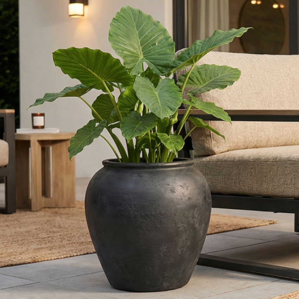 Cyprus XL, Fiber Clay Pot, Hand-painted in Weathered Black or Clamshell, 19.6"D x 19.6"H