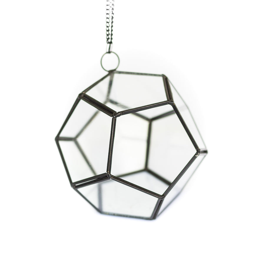 DIY Glass Pentagon Terrarium