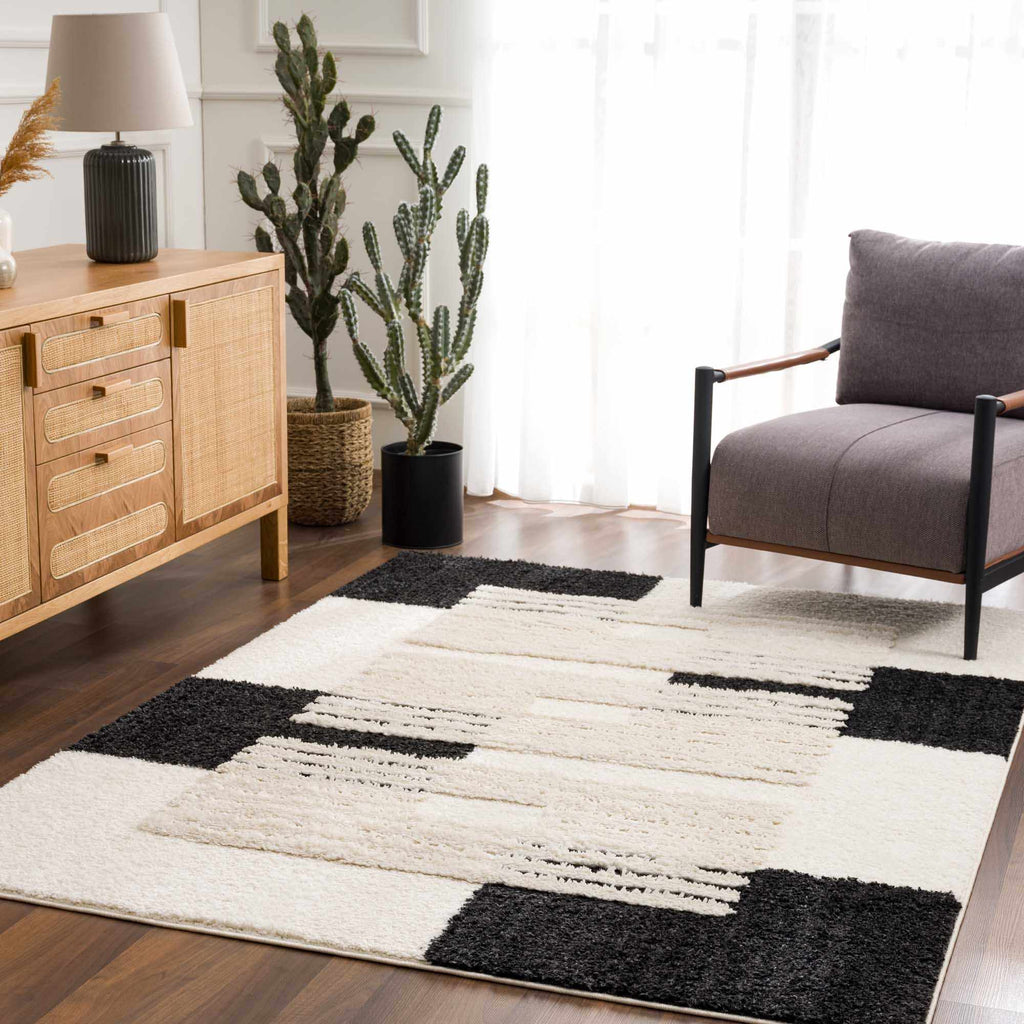 Astro Area Rug