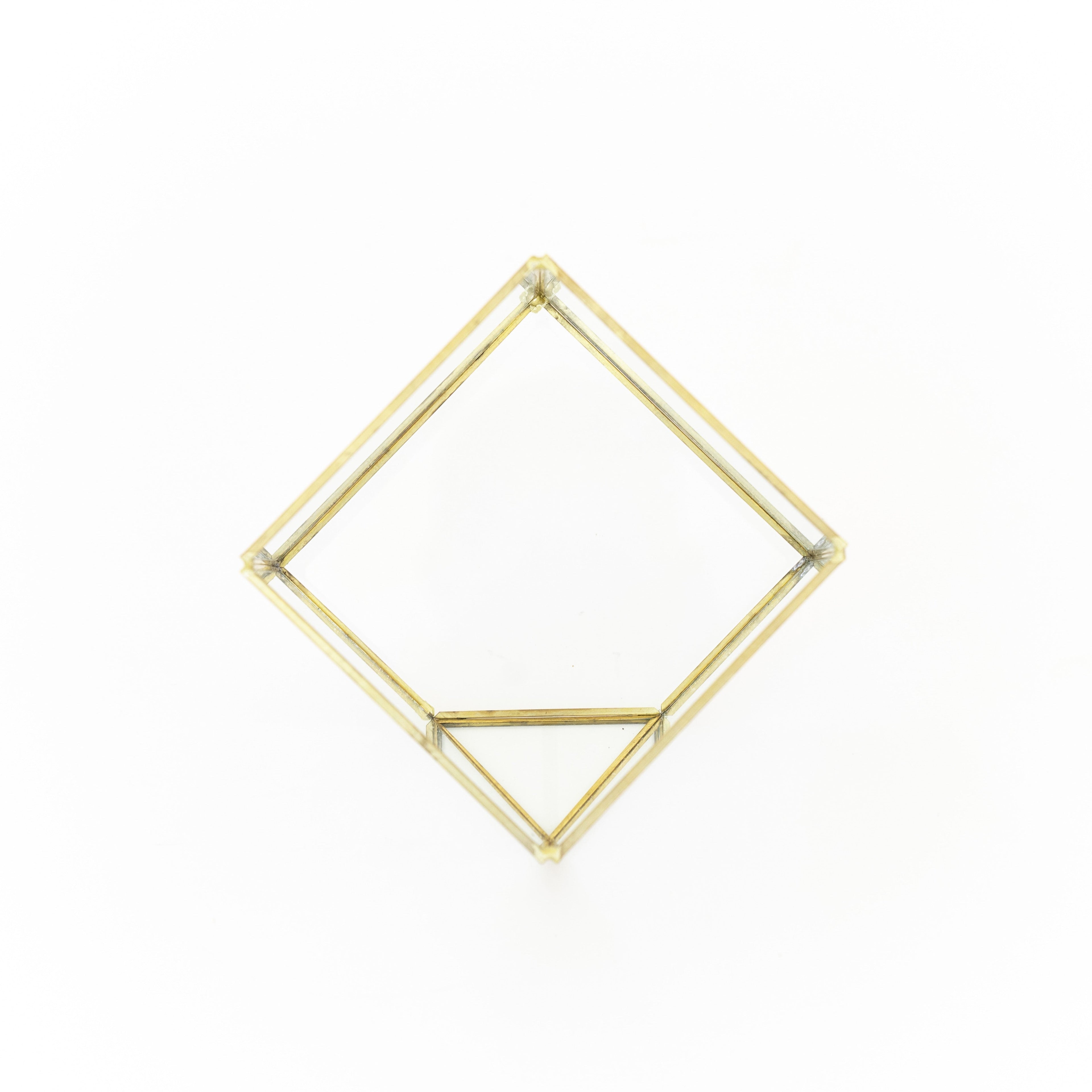 Heptahedron Geometric Glass Terrarium - Gold Metallic Finish - Trendy Holder For Tillandsia Air Plants