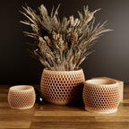 Honeycomb Planter from Modernized Pottery