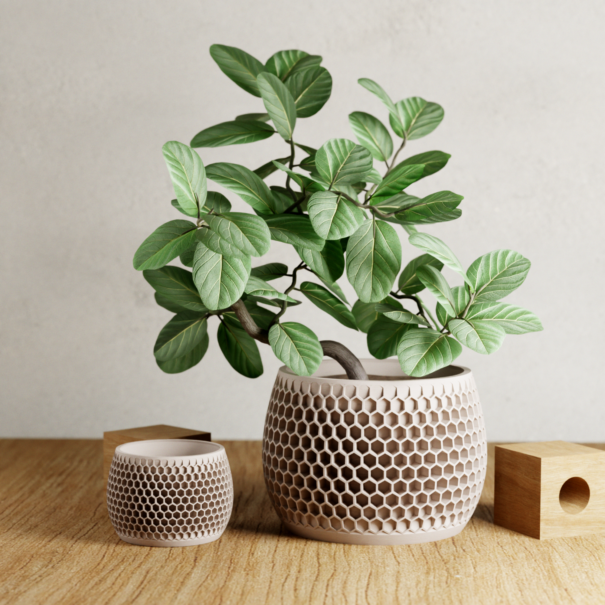 Honeycomb Planter from Modernized Pottery