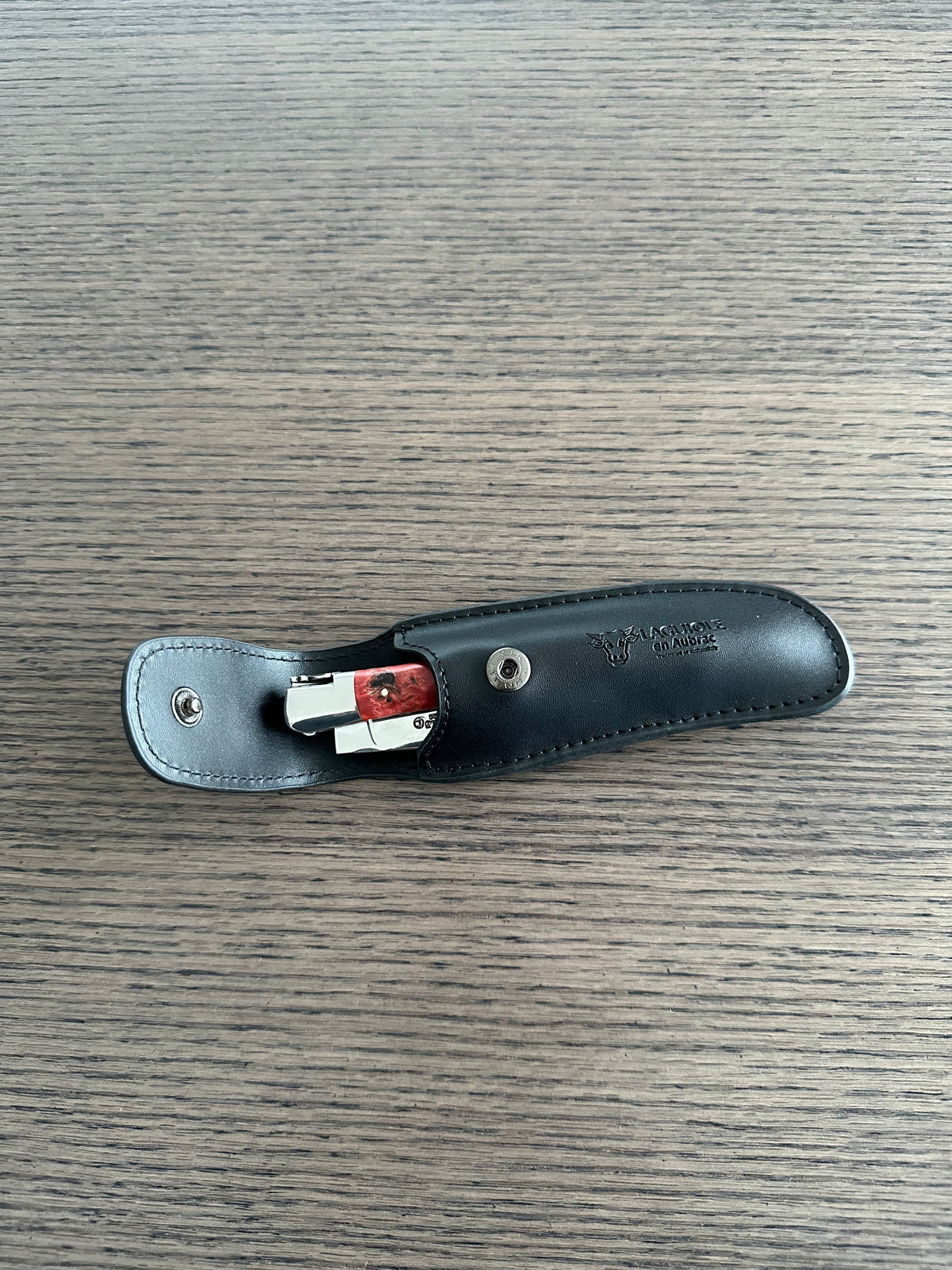 Black sheath opened with the snap and a knife tucked inside