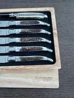 Close view of six textured antler handles in the foam tray
