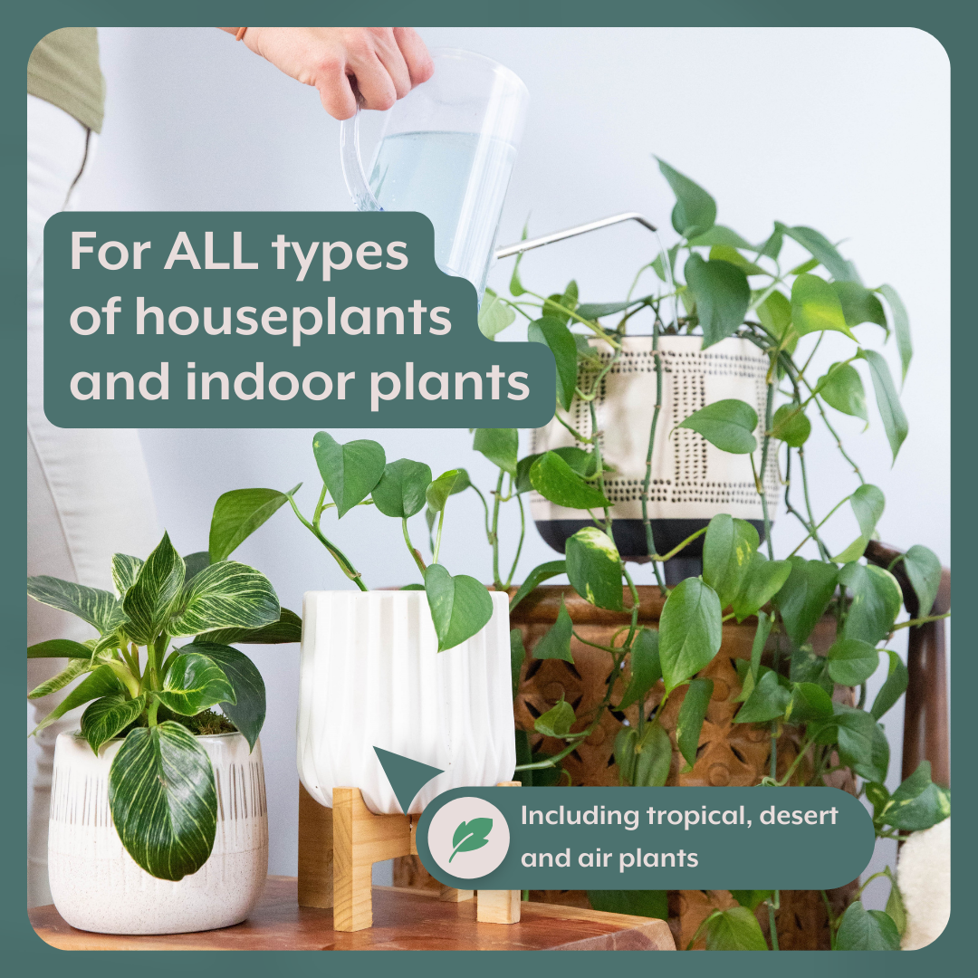 The ULTIMATE Plant Parent Bundle (Plant Food + ProBiotics + Natural Pest Control + All Accessories)