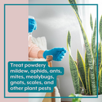 The Houseplant DEFENSE Bundle (Natural Pest Control + Gloves + Spray Bottle)