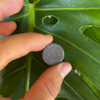 (2) Instant Plant Support 4-Tablet Pouch Bundle
