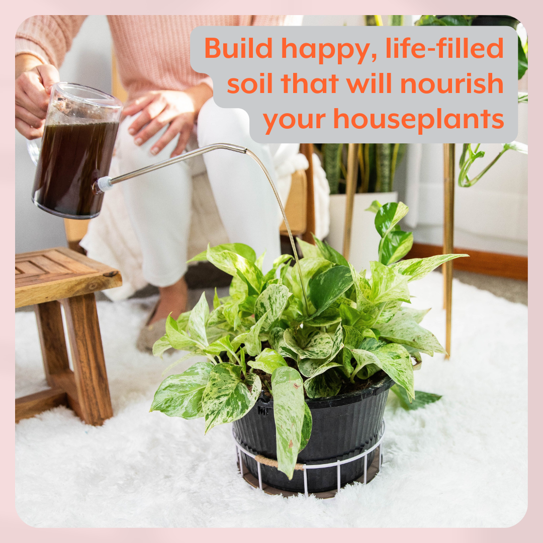 The ULTIMATE Plant Parent Bundle (Plant Food + ProBiotics + Natural Pest Control + All Accessories)