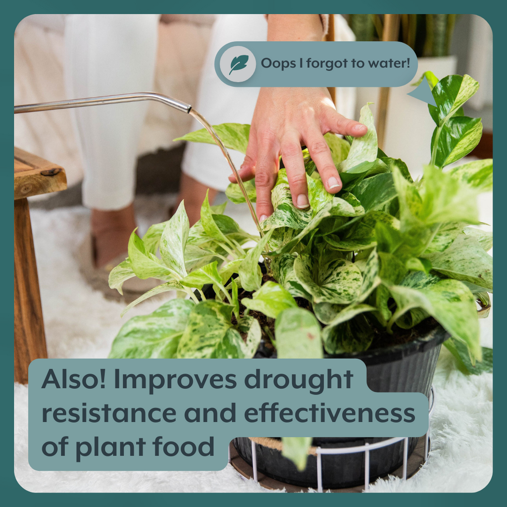 The Thrive Bundle (Plant Food + Probiotics) for HOUSEPLANTS