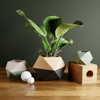 Ico Planter from Modernized Pottery
