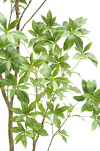 7' Artificial Laurel Tree