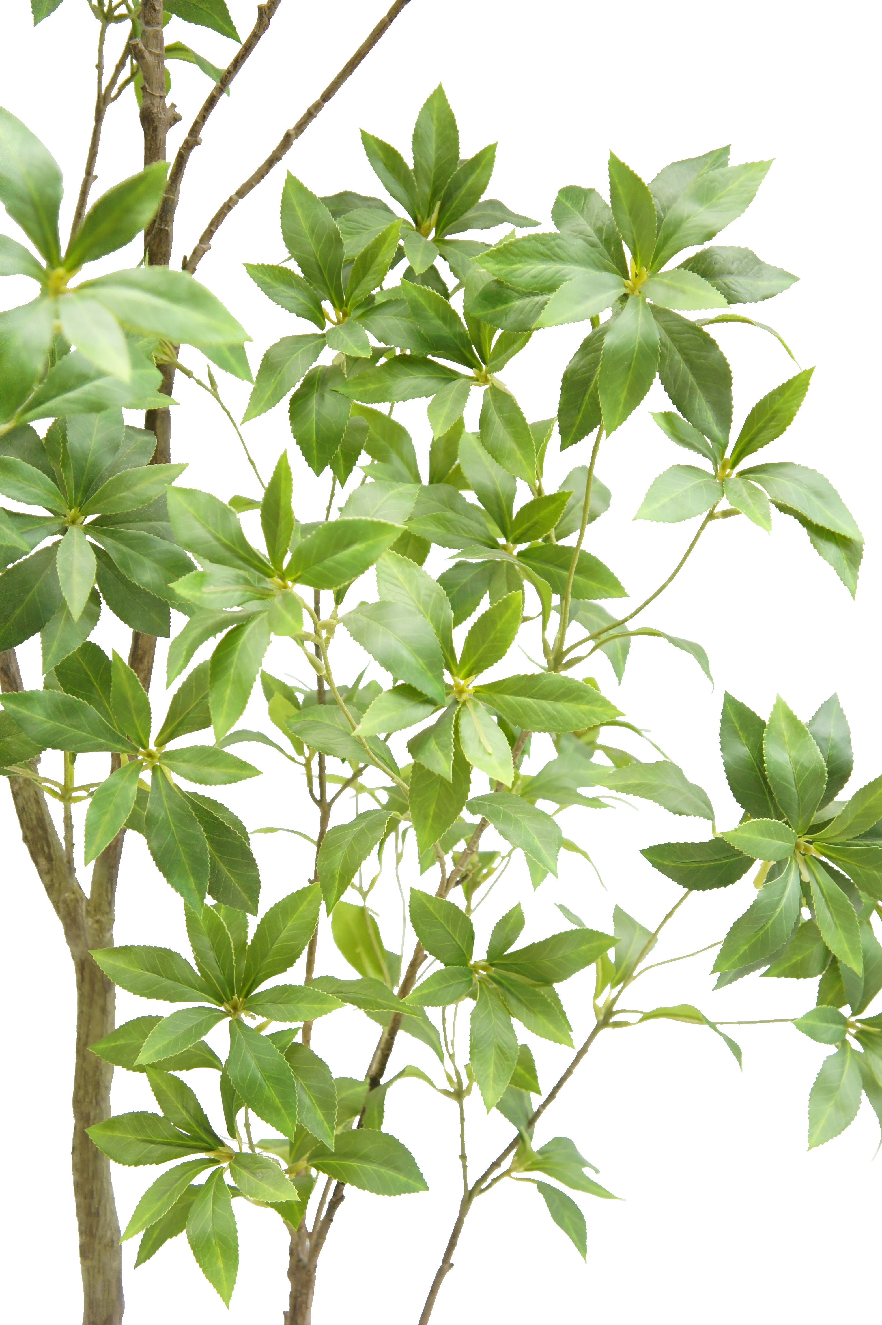 7' Artificial Laurel Tree