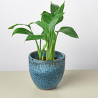 Liberty Bell Planter