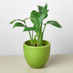 Liberty Bell Planter