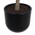 7' Faux Potted Money Tree